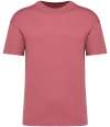 NS330 Native Spirit Unisex Oversized T-Shirt Antique Rose colour image